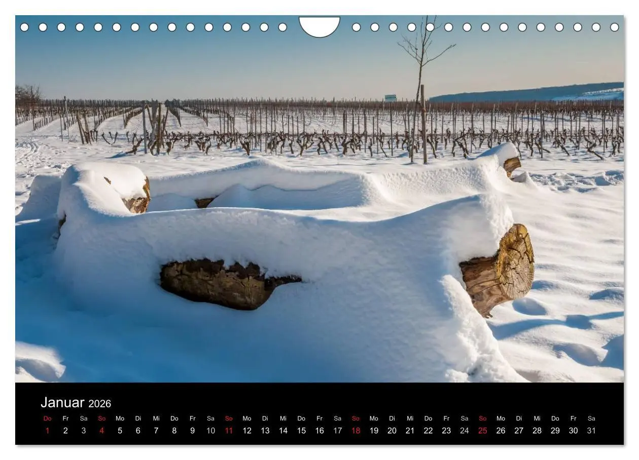 Bild: 9783516157703 | Ingelheim und Umgebung (Wandkalender 2026 DIN A4 quer), CALVENDO...