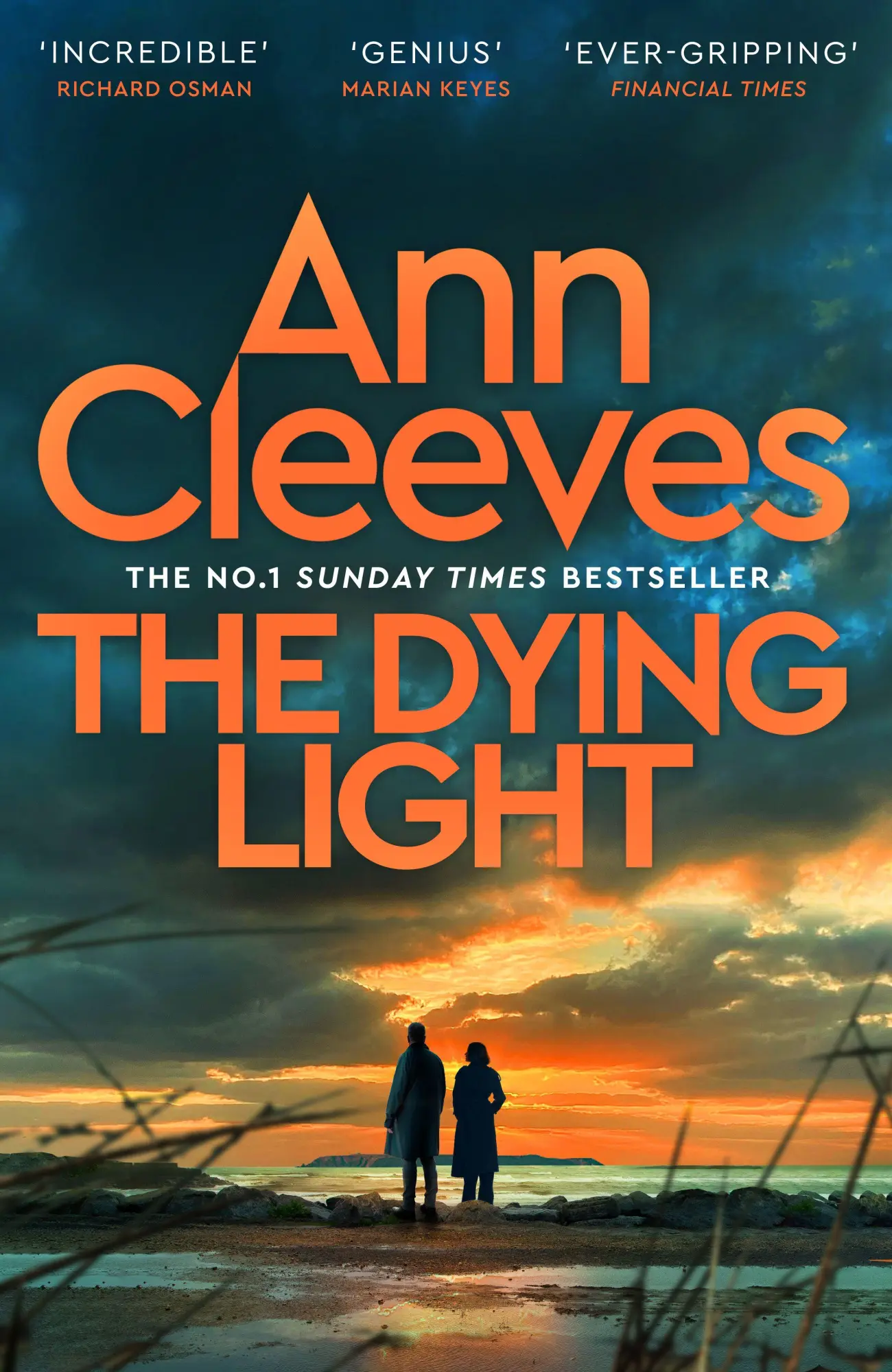 Cover: 9781529077803 | The Dying Light | Ann Cleeves | Taschenbuch | Two Rivers | 384 S.