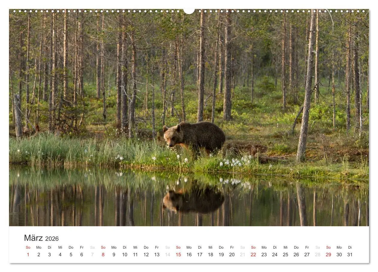 Bild: 9783516077803 | Naturparadies Finnland (Wandkalender 2026 DIN A2 quer), CALVENDO...