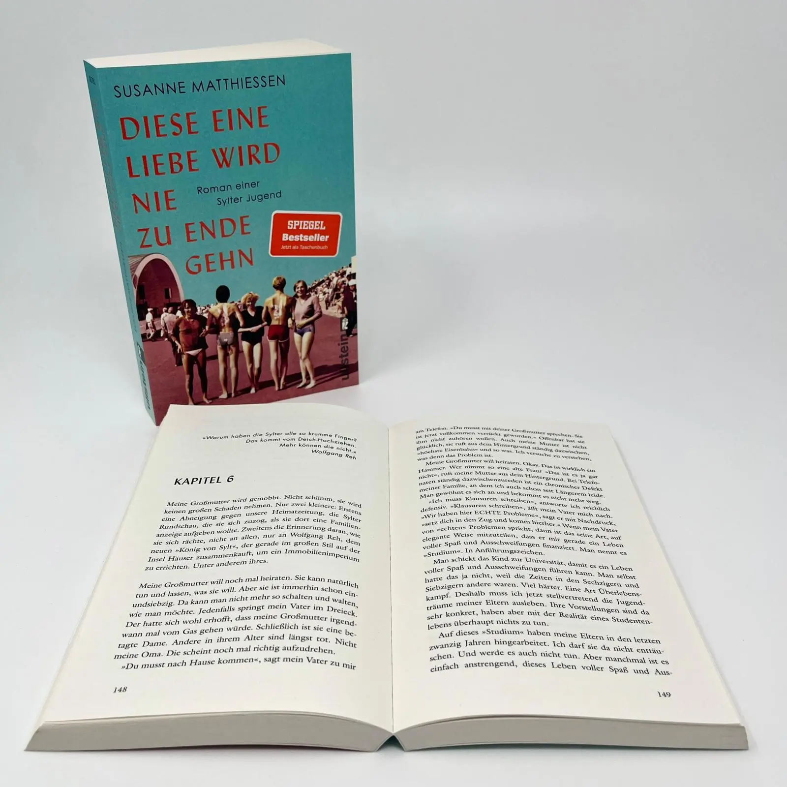 Bild: 9783548067803 | Diese eine Liebe wird nie zu Ende gehn | Susanne Matthiessen | Buch
