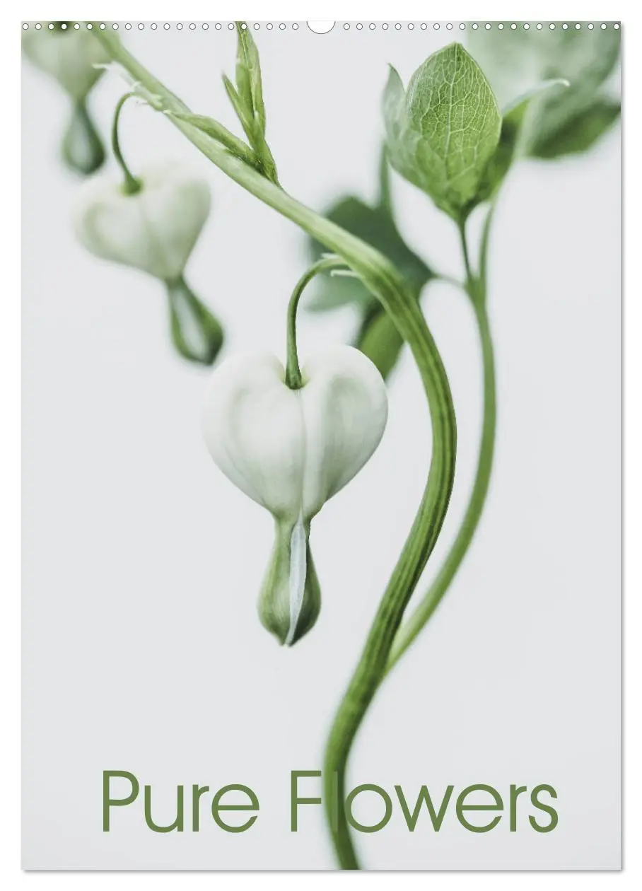 Cover: 9783435957903 | Pure Flowers (Wandkalender 2025 DIN A2 hoch), CALVENDO Monatskalender