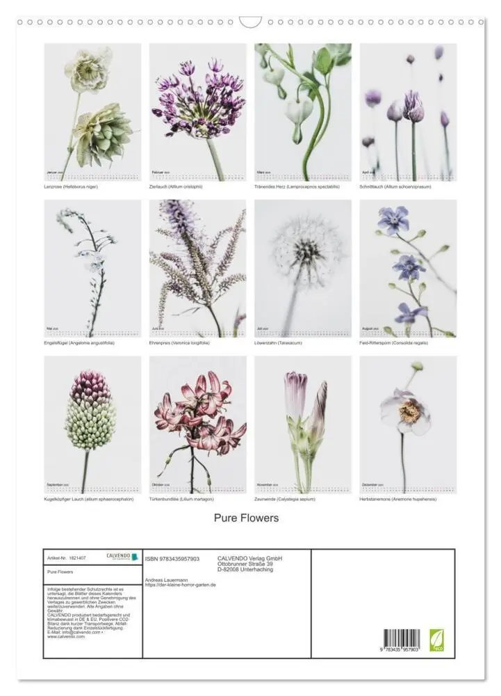 Bild: 9783435957903 | Pure Flowers (Wandkalender 2025 DIN A2 hoch), CALVENDO Monatskalender