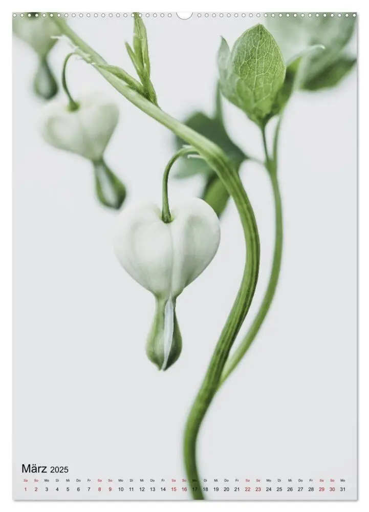 Bild: 9783435957903 | Pure Flowers (Wandkalender 2025 DIN A2 hoch), CALVENDO Monatskalender