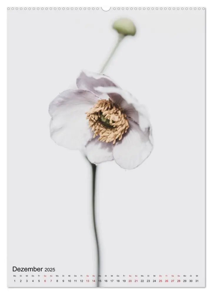 Bild: 9783435957903 | Pure Flowers (Wandkalender 2025 DIN A2 hoch), CALVENDO Monatskalender