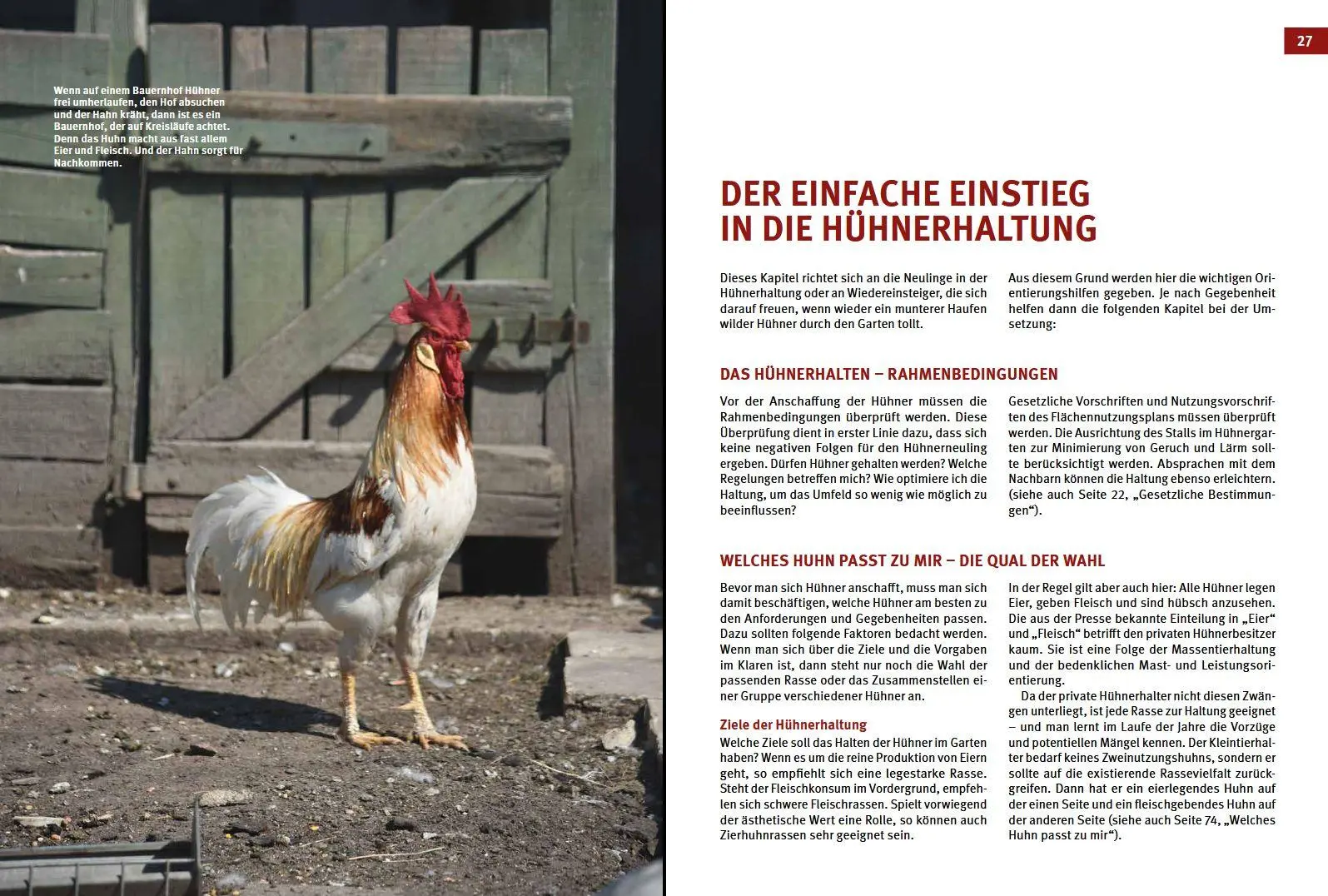 Bild: 9783702017903 | Das Hühnerbuch | Handbuch zur Haltung glücklicher Hühner | Buch | 2019