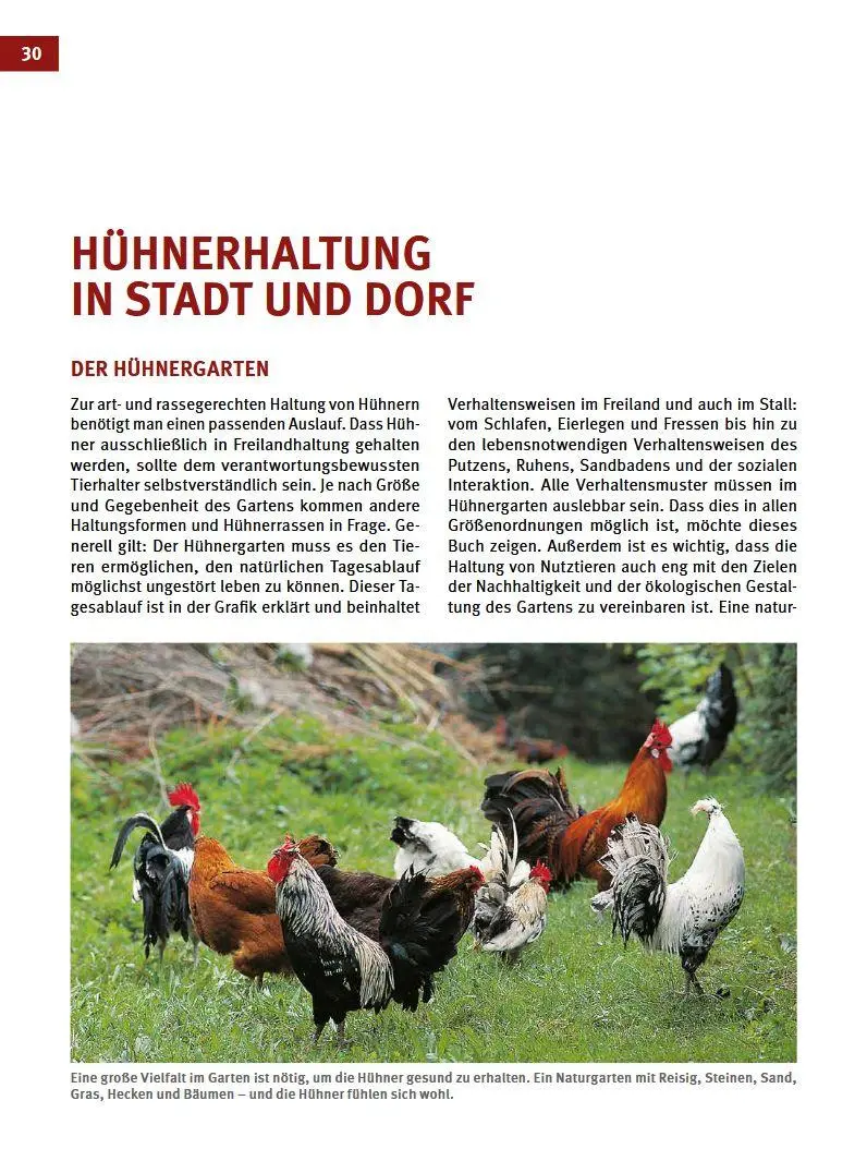Bild: 9783702017903 | Das Hühnerbuch | Handbuch zur Haltung glücklicher Hühner | Buch | 2019