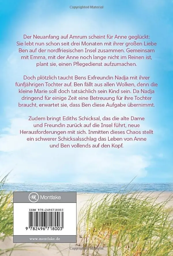 Rückseite: 9782496718003 | Die Inselfamilie | Jette Hansen | Taschenbuch | Deutsch | 2025