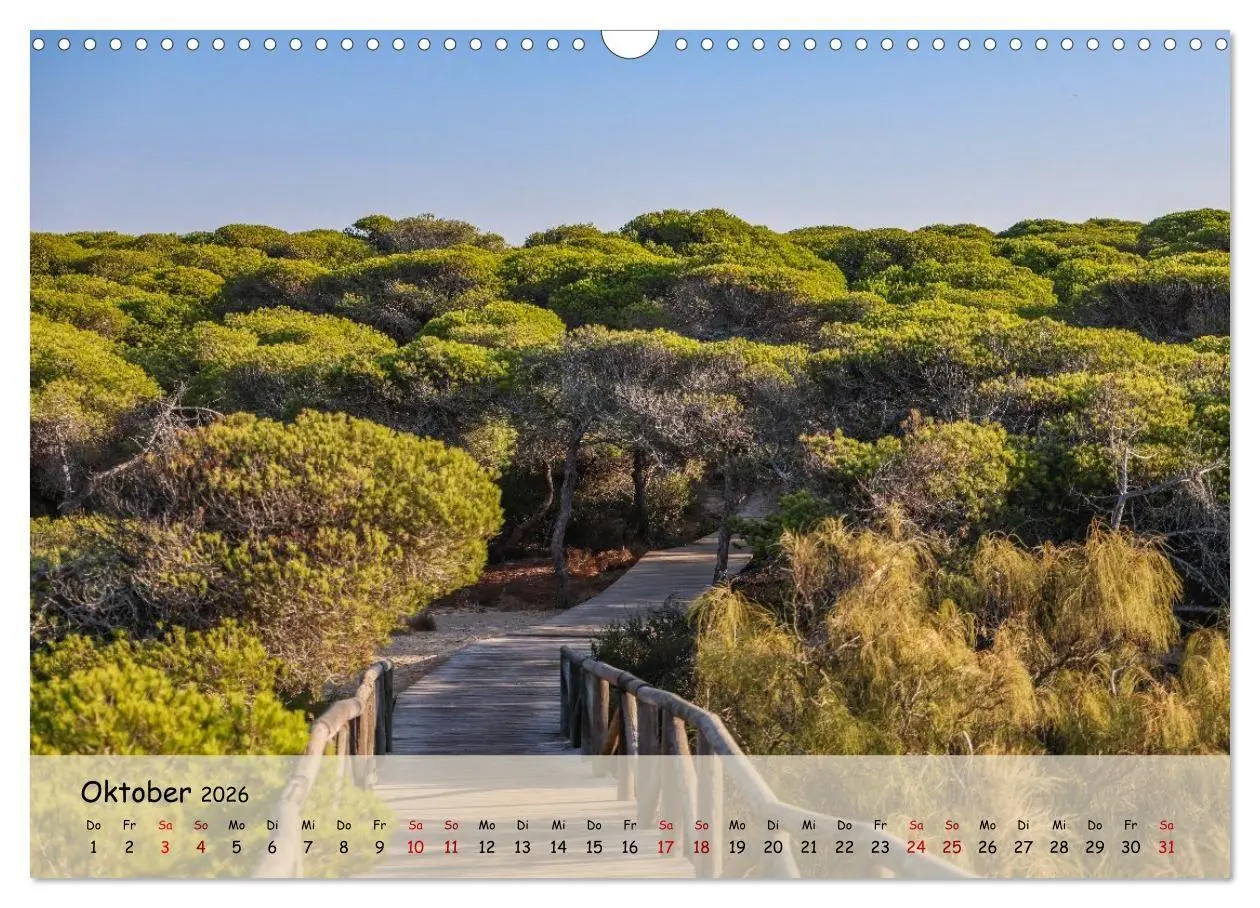 Bild: 9783516718003 | Rota, in Spanien (Wandkalender 2026 DIN A3 quer), CALVENDO...