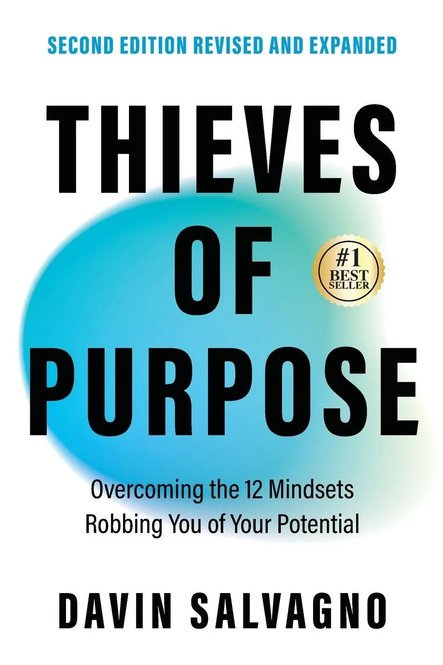 Cover: 9781969508103 | Thieves of Purpose (Second Edition Revised and Expanded) | Salvagno