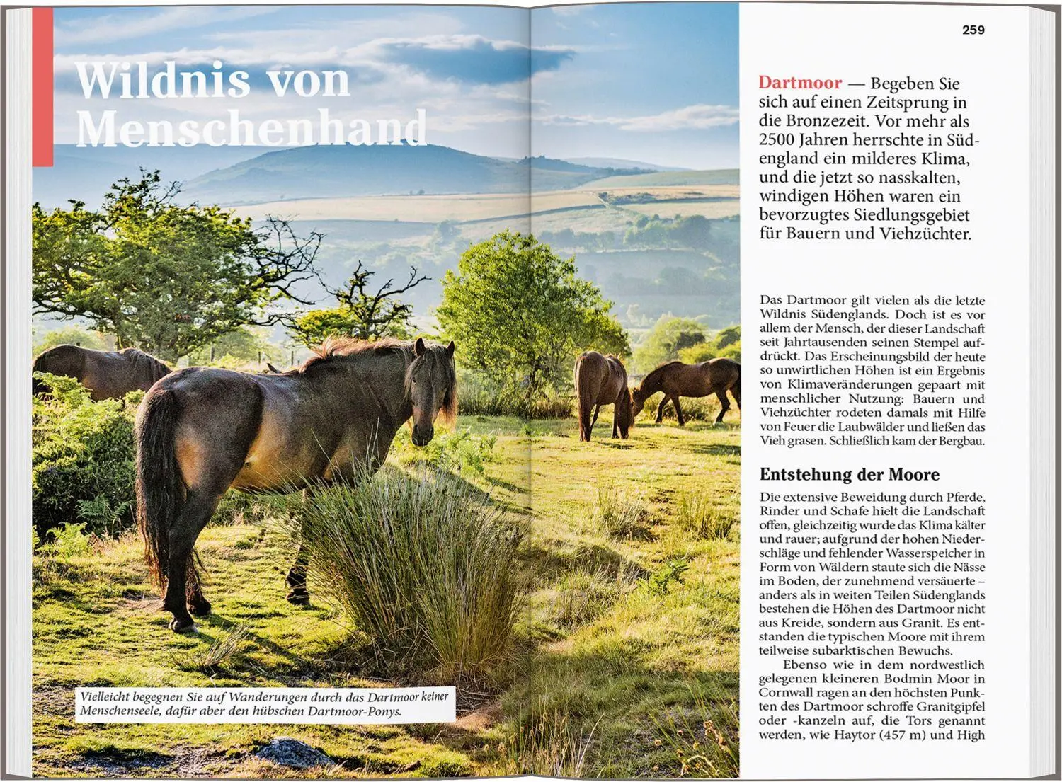 Bild: 9783616008103 | DUMONT Reise-Taschenbuch Reiseführer Cornwall &amp; Südwestengland | Buch