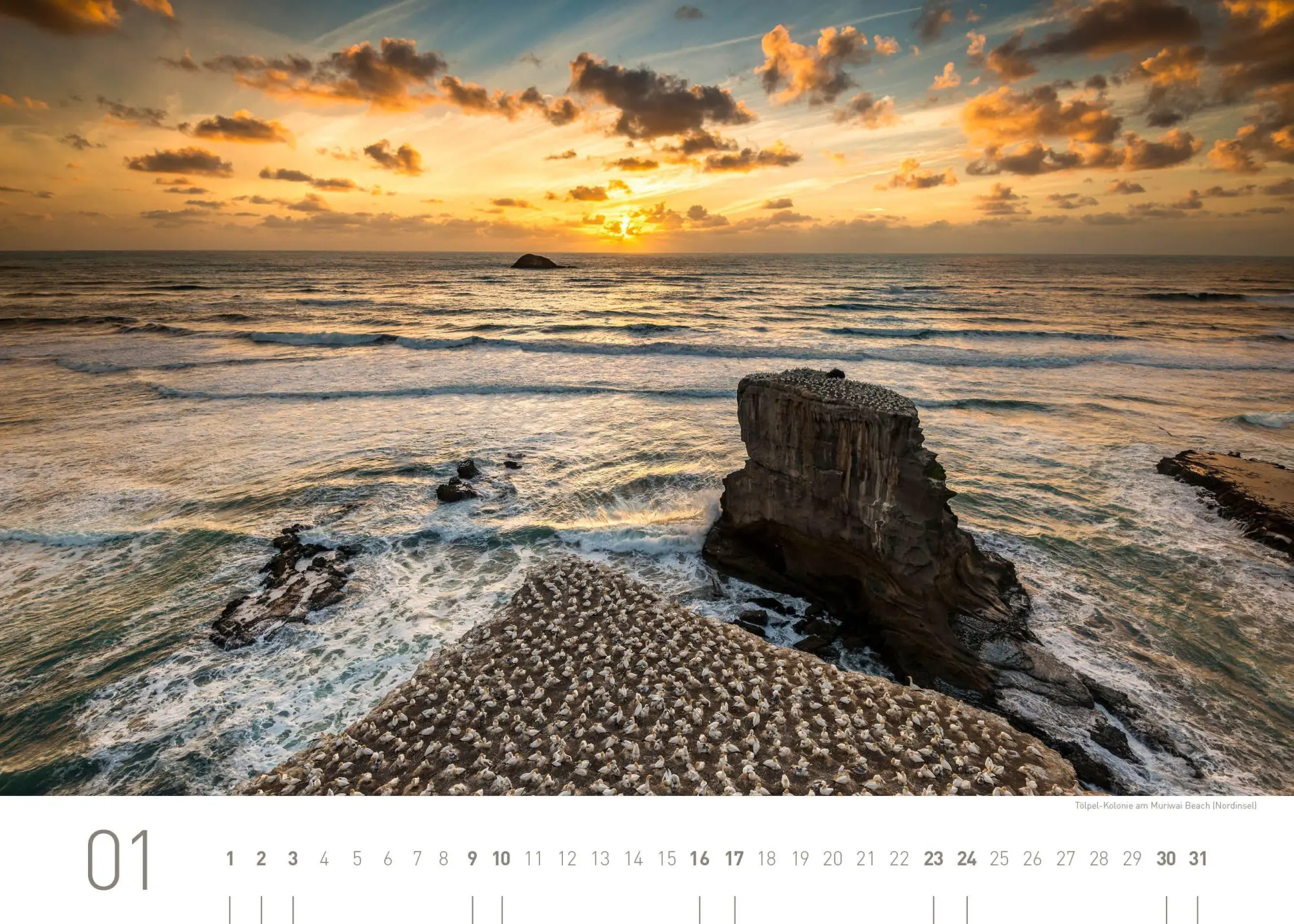 Bild: 9783968558103 | Neuseeland Exklusivkalender 2027 | Robert Haasmann | Kalender | 14 S.