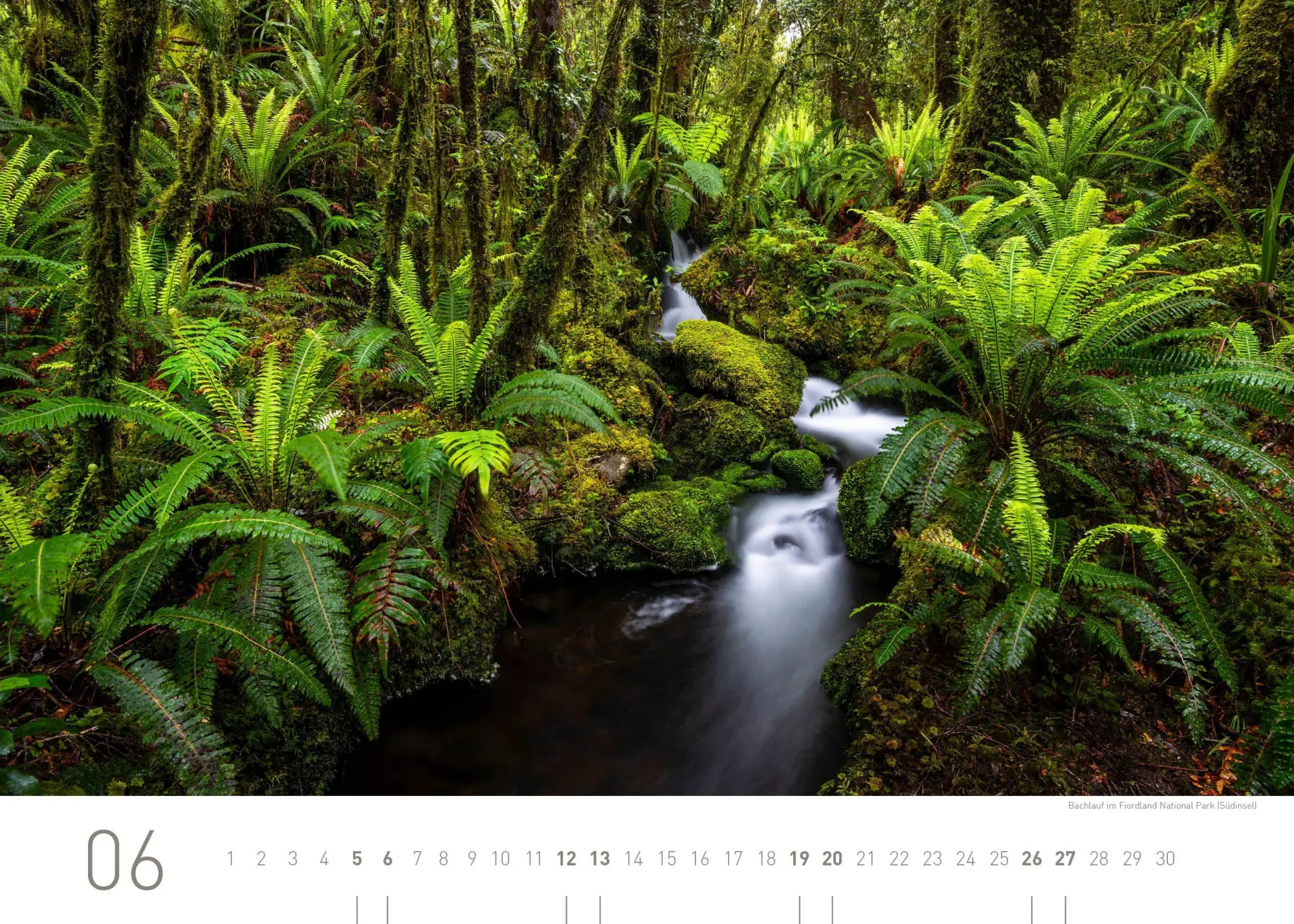 Bild: 9783968558103 | Neuseeland Exklusivkalender 2027 | Robert Haasmann | Kalender | 14 S.