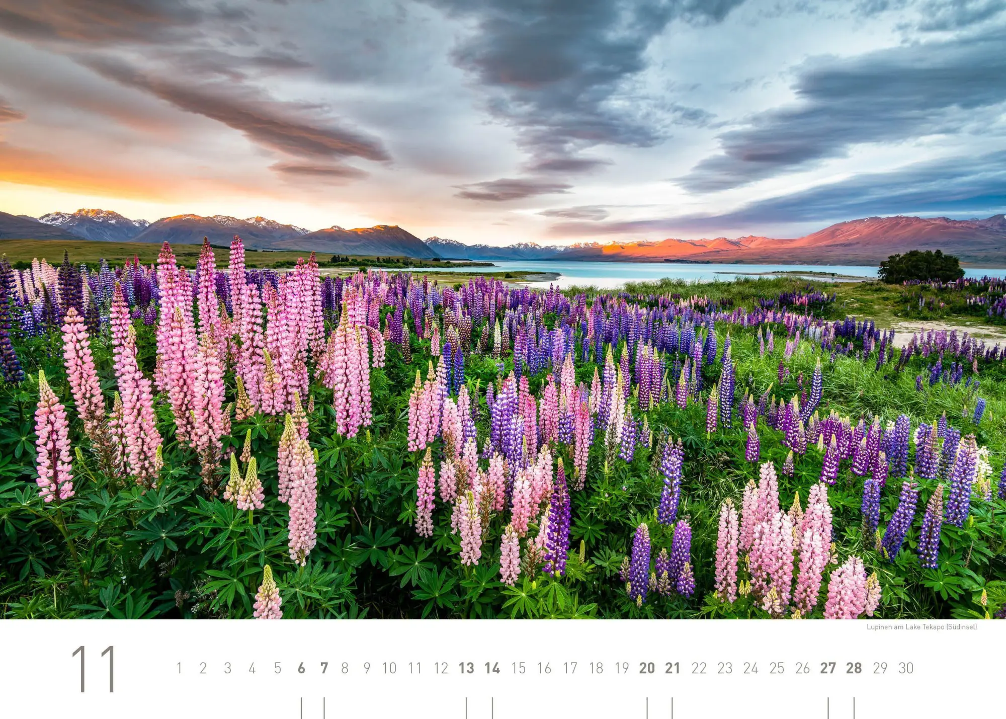 Bild: 9783968558103 | Neuseeland Exklusivkalender 2027 | Robert Haasmann | Kalender | 14 S.