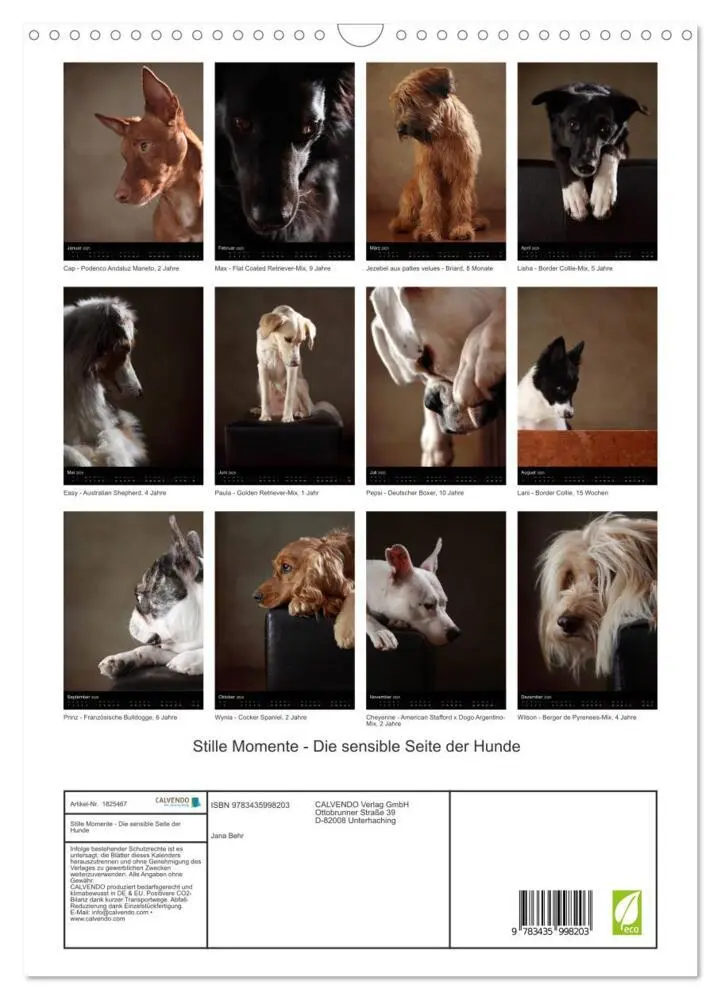 Bild: 9783435998203 | Stille Momente - Die sensible Seite der Hunde (Wandkalender 2025...