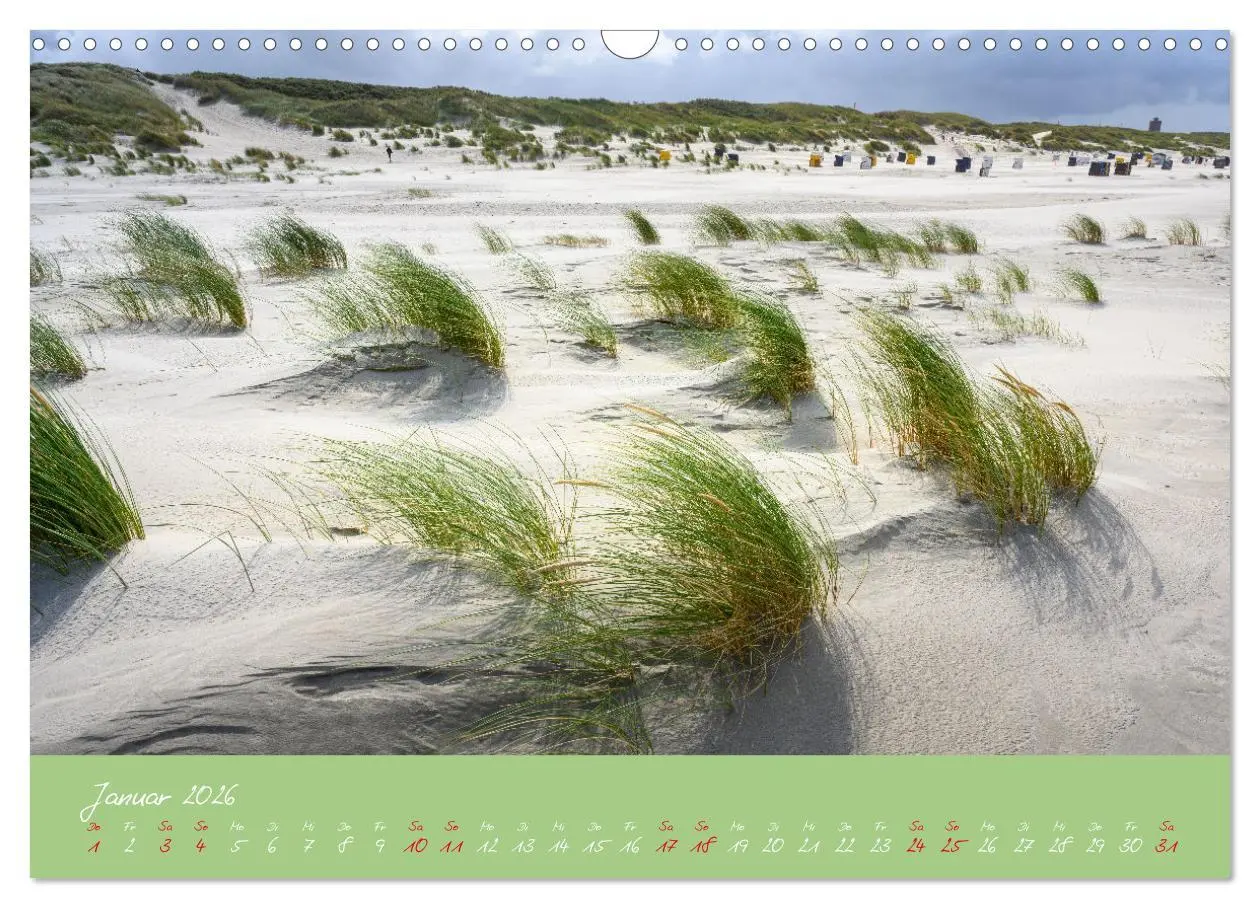 Bild: 9783457398203 | "Töwerland" Juist (Wandkalender 2026 DIN A3 quer), CALVENDO...