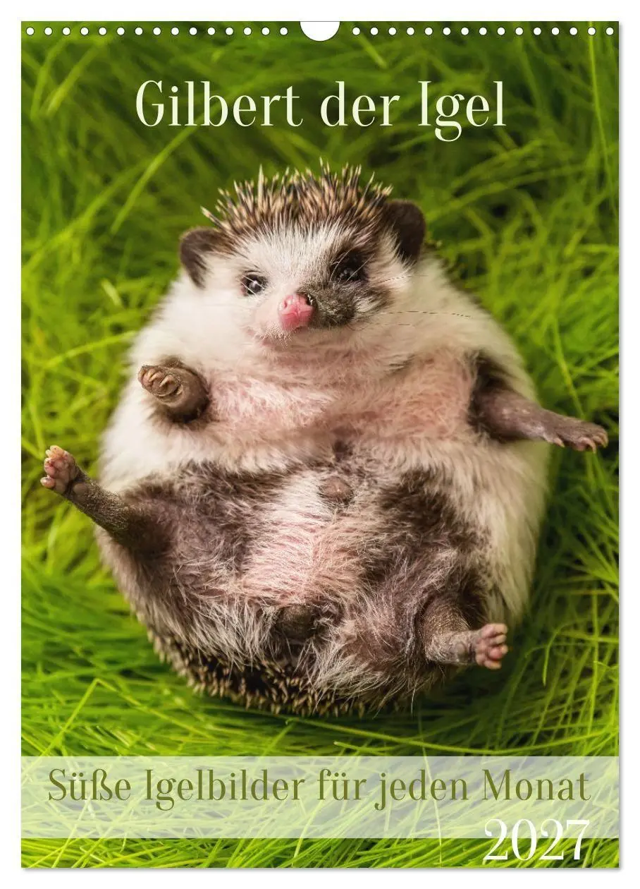Cover: 9783569338203 | Gilbert der Igel (Wandkalender 2027 DIN A3 hoch), CALVENDO...