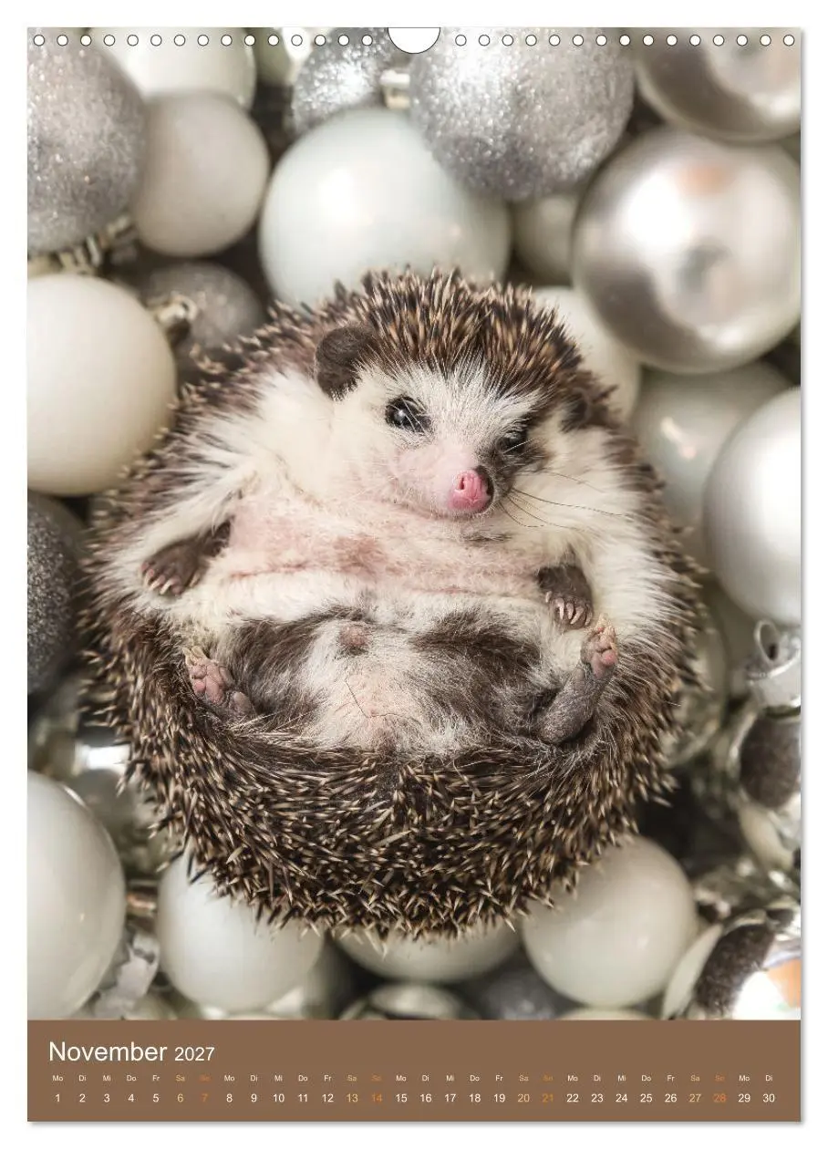 Bild: 9783569338203 | Gilbert der Igel (Wandkalender 2027 DIN A3 hoch), CALVENDO...