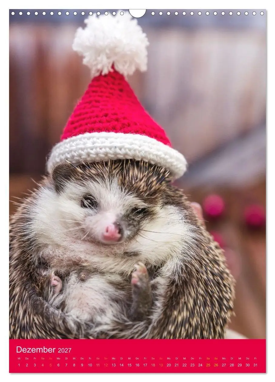 Bild: 9783569338203 | Gilbert der Igel (Wandkalender 2027 DIN A3 hoch), CALVENDO...