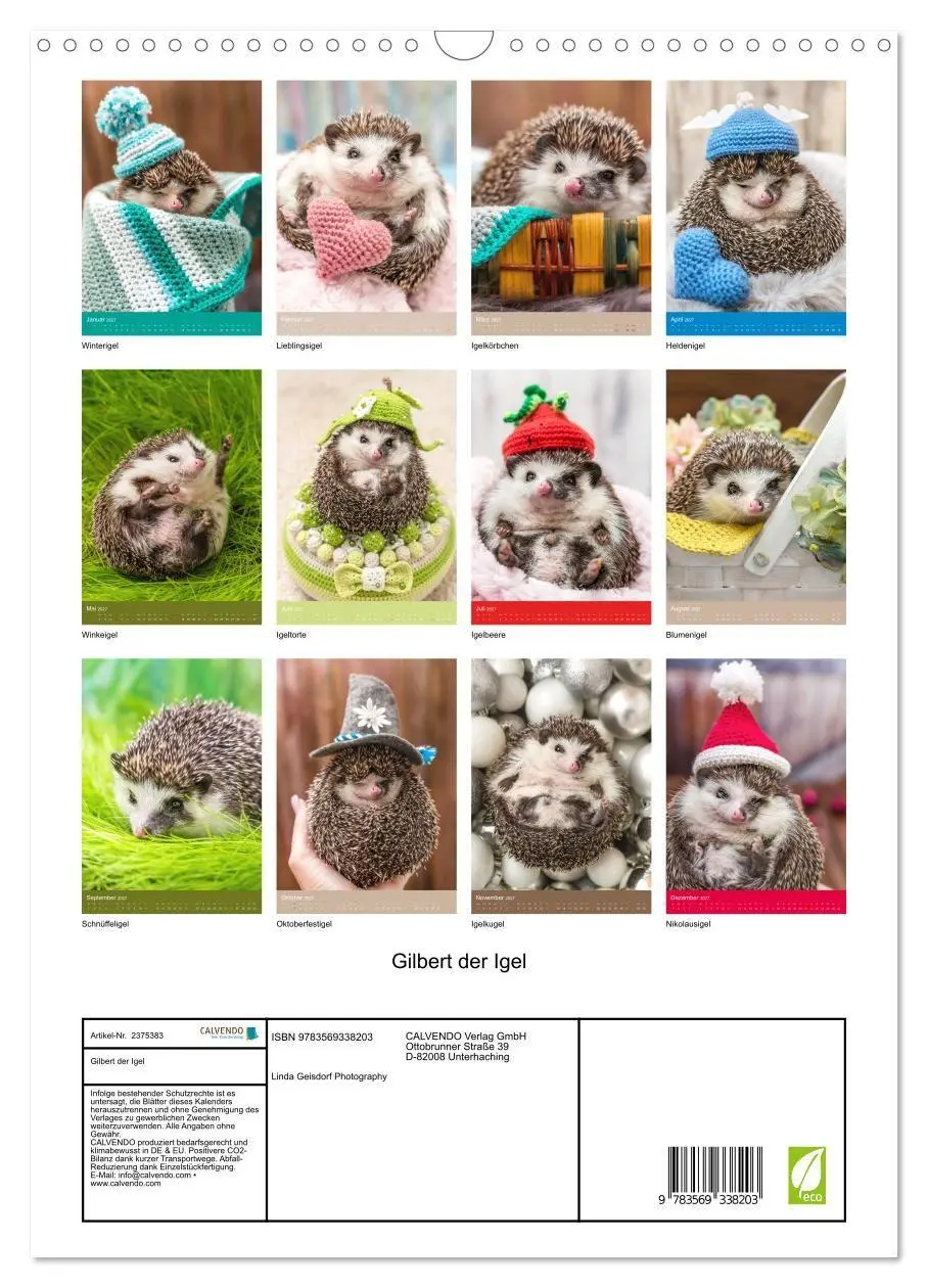 Bild: 9783569338203 | Gilbert der Igel (Wandkalender 2027 DIN A3 hoch), CALVENDO...