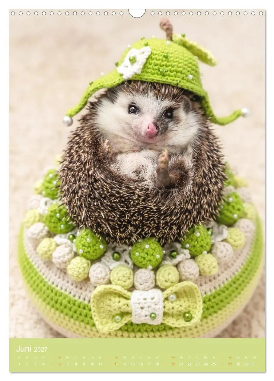 Bild: 9783569338203 | Gilbert der Igel (Wandkalender 2027 DIN A3 hoch), CALVENDO...