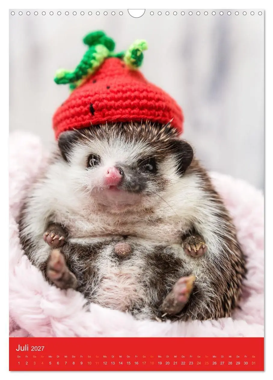 Bild: 9783569338203 | Gilbert der Igel (Wandkalender 2027 DIN A3 hoch), CALVENDO...
