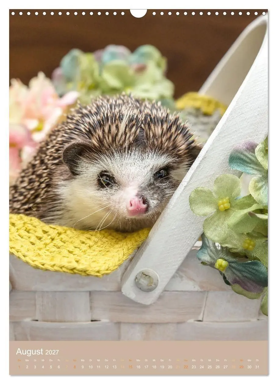Bild: 9783569338203 | Gilbert der Igel (Wandkalender 2027 DIN A3 hoch), CALVENDO...