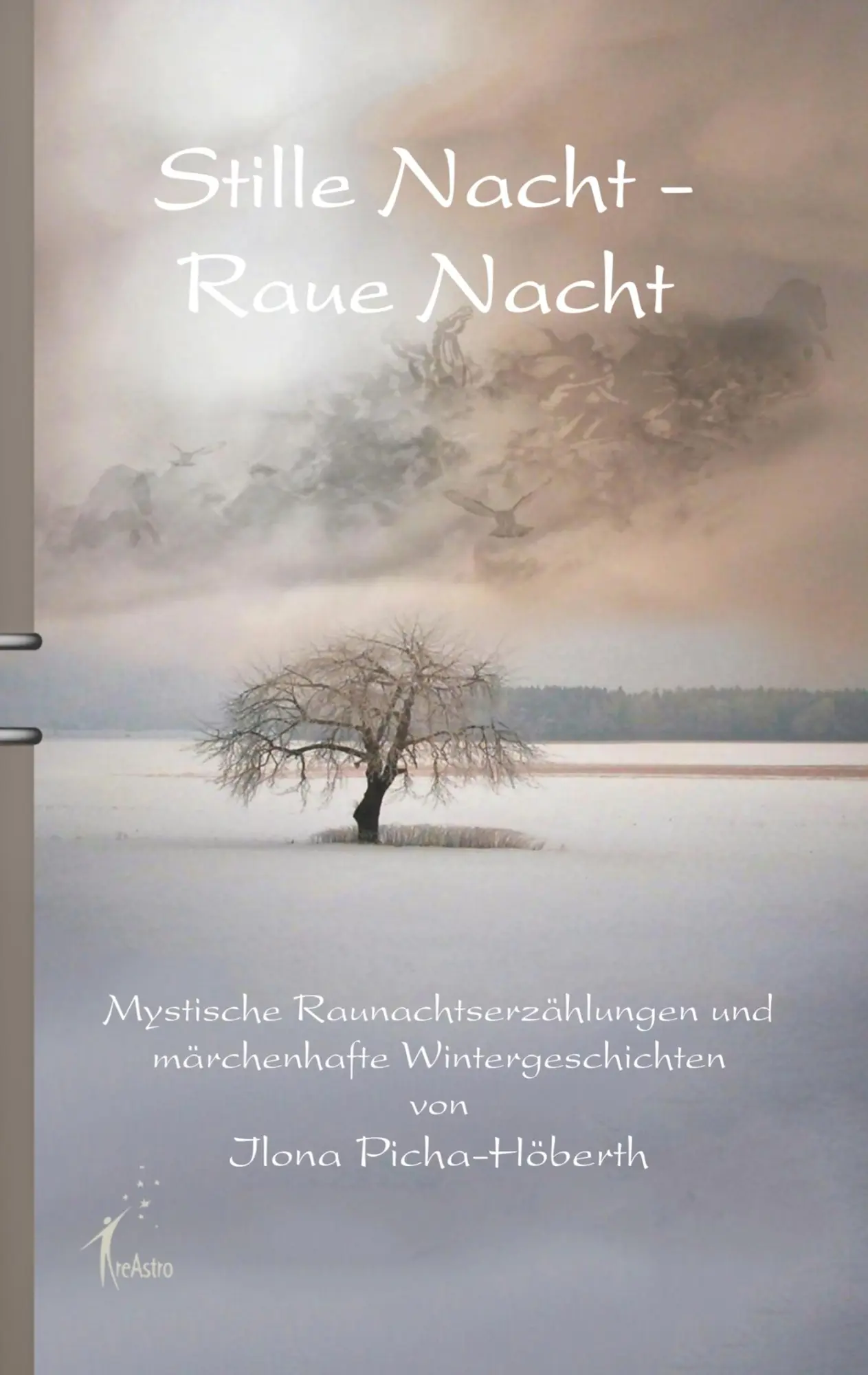 Cover: 9783939078203 | Stille Nacht - Raue Nacht | Ilona Picha-Höberth | Taschenbuch | 152 S.