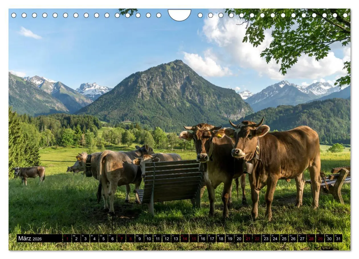 Bild: 9783457908303 | das Allgäu (Wandkalender 2026 DIN A4 quer), CALVENDO Monatskalender