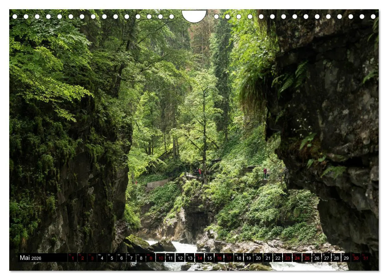 Bild: 9783457908303 | das Allgäu (Wandkalender 2026 DIN A4 quer), CALVENDO Monatskalender
