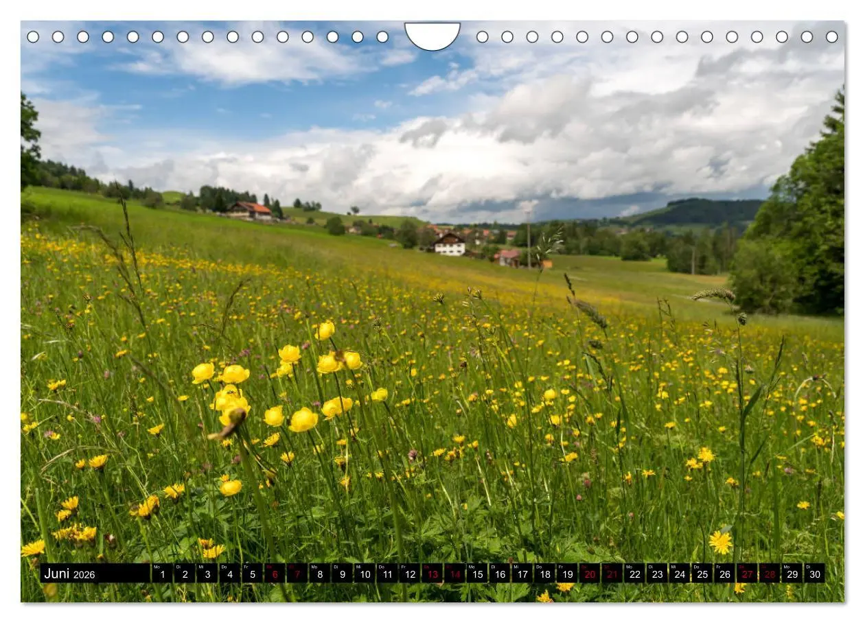 Bild: 9783457908303 | das Allgäu (Wandkalender 2026 DIN A4 quer), CALVENDO Monatskalender