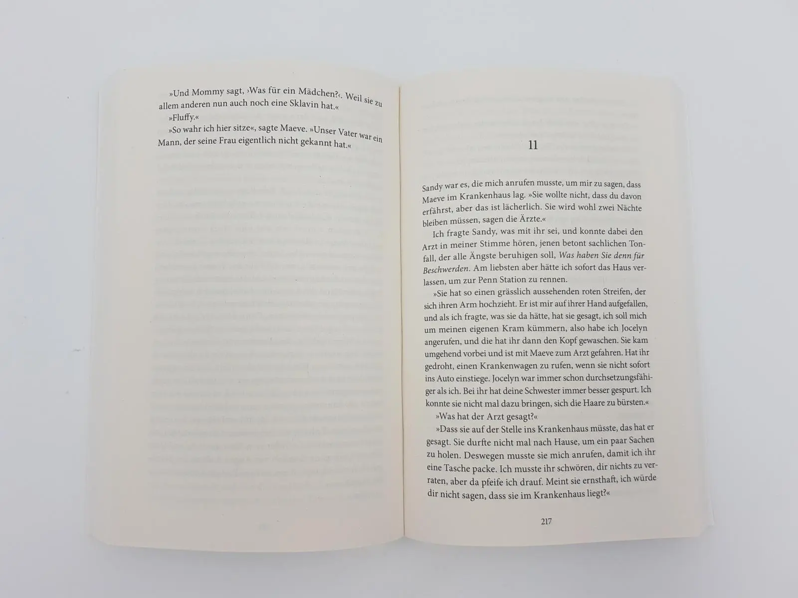 Bild: 9783492318303 | Das Holländerhaus | Ann Patchett | Taschenbuch | 400 S. | Deutsch