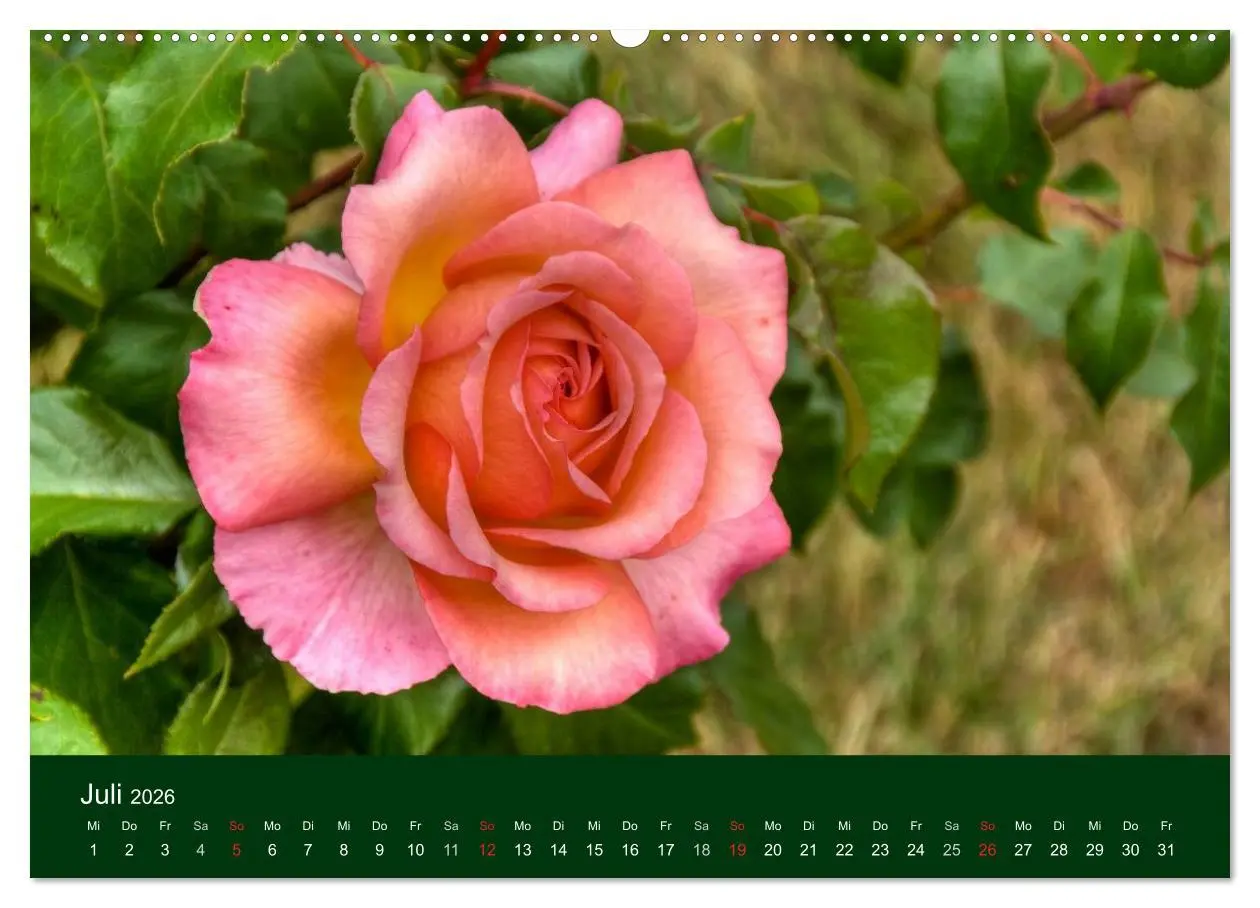 Bild: 9783516098303 | Blumen und Blüten (hochwertiger Premium Wandkalender 2026 DIN A2...