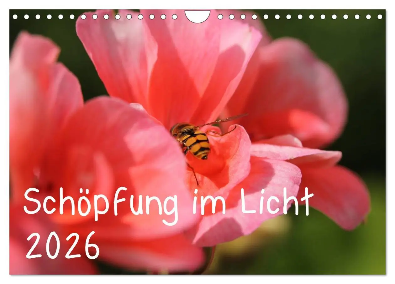 Cover: 9783516168303 | Schöpfung im Licht (Wandkalender 2026 DIN A4 quer), CALVENDO...