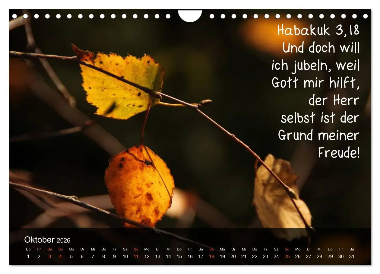 Bild: 9783516168303 | Schöpfung im Licht (Wandkalender 2026 DIN A4 quer), CALVENDO...