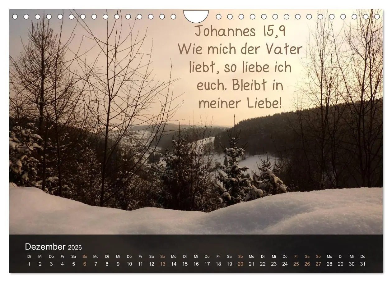 Bild: 9783516168303 | Schöpfung im Licht (Wandkalender 2026 DIN A4 quer), CALVENDO...