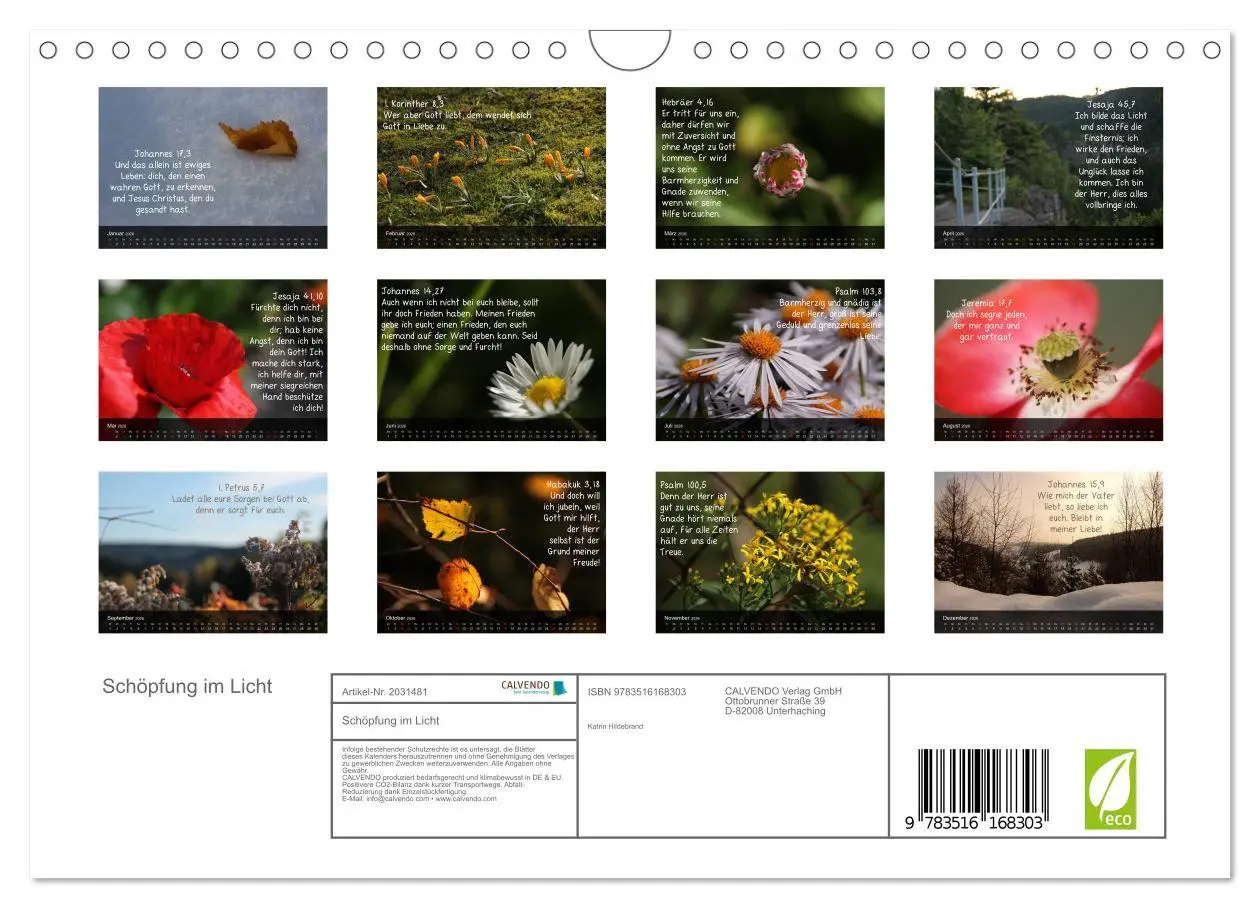 Bild: 9783516168303 | Schöpfung im Licht (Wandkalender 2026 DIN A4 quer), CALVENDO...
