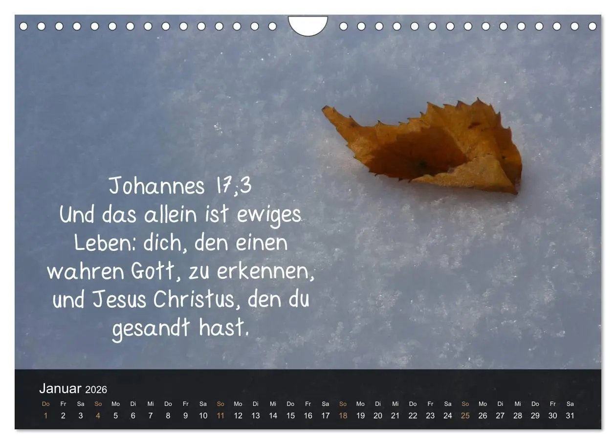 Bild: 9783516168303 | Schöpfung im Licht (Wandkalender 2026 DIN A4 quer), CALVENDO...