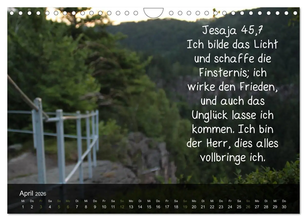 Bild: 9783516168303 | Schöpfung im Licht (Wandkalender 2026 DIN A4 quer), CALVENDO...