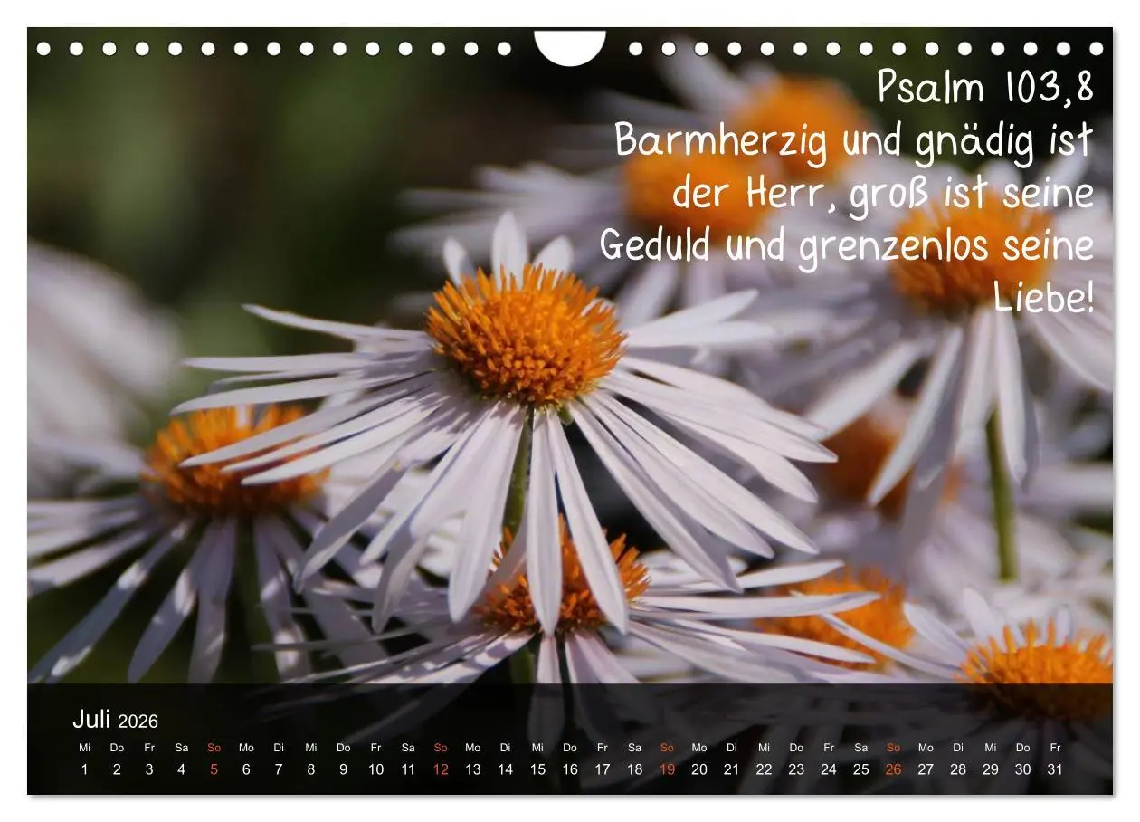 Bild: 9783516168303 | Schöpfung im Licht (Wandkalender 2026 DIN A4 quer), CALVENDO...