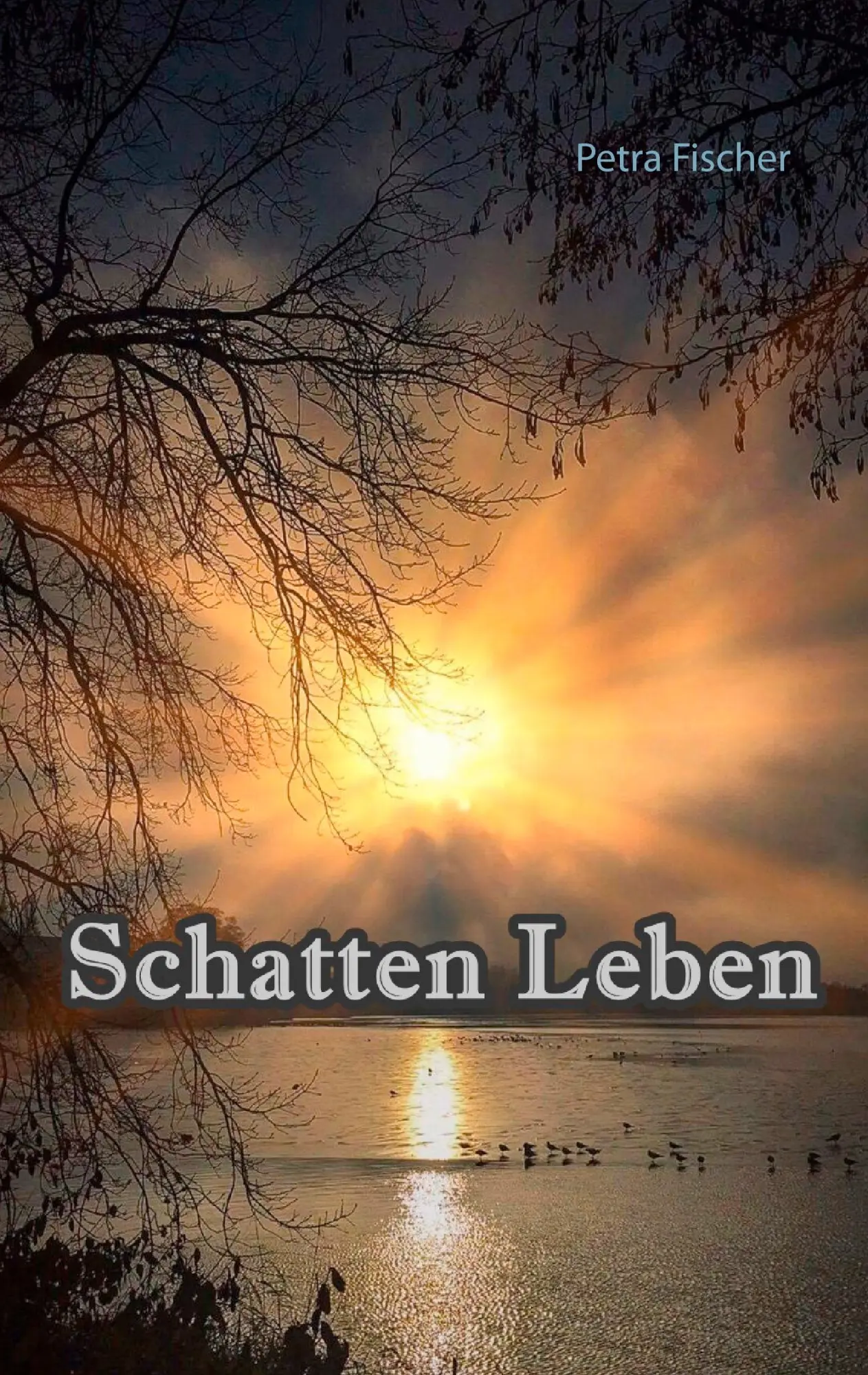 Cover: 9783743188303 | Schatten Leben | Petra Fischer | Taschenbuch | 180 S. | Deutsch | 2017
