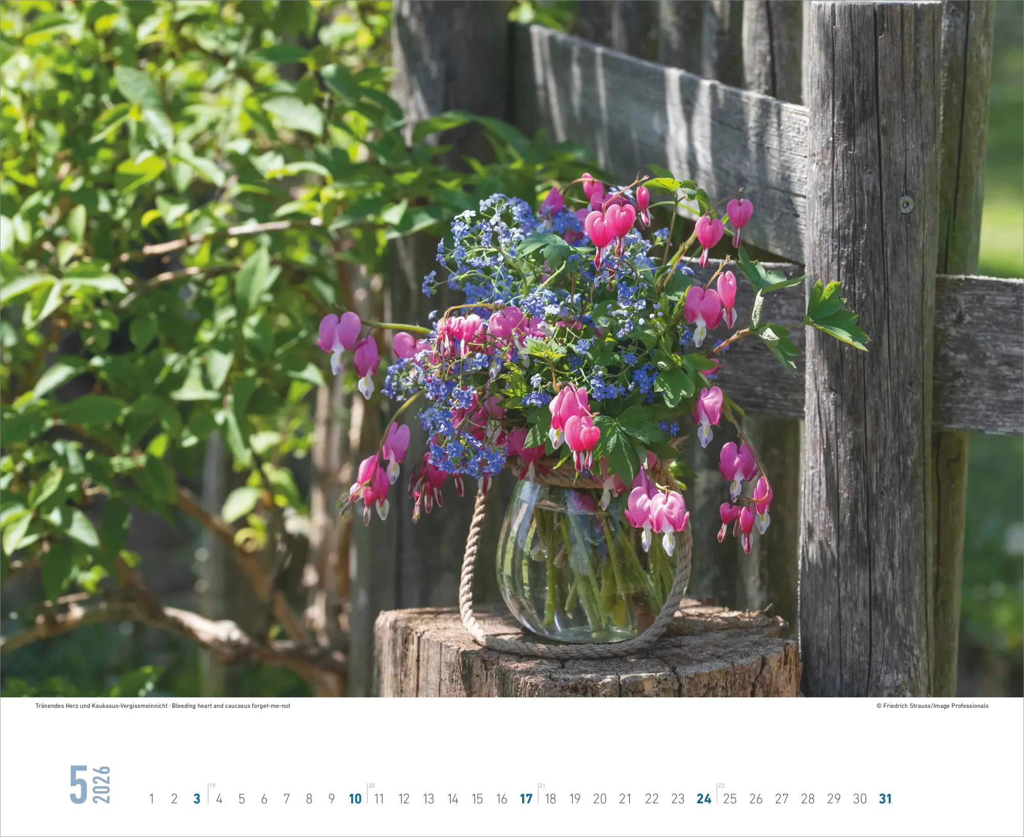 Bild: 4069095008403 | Blumenpracht - Wandkalender mit 12 bezaubernden Blumenmotiven | 13 S.