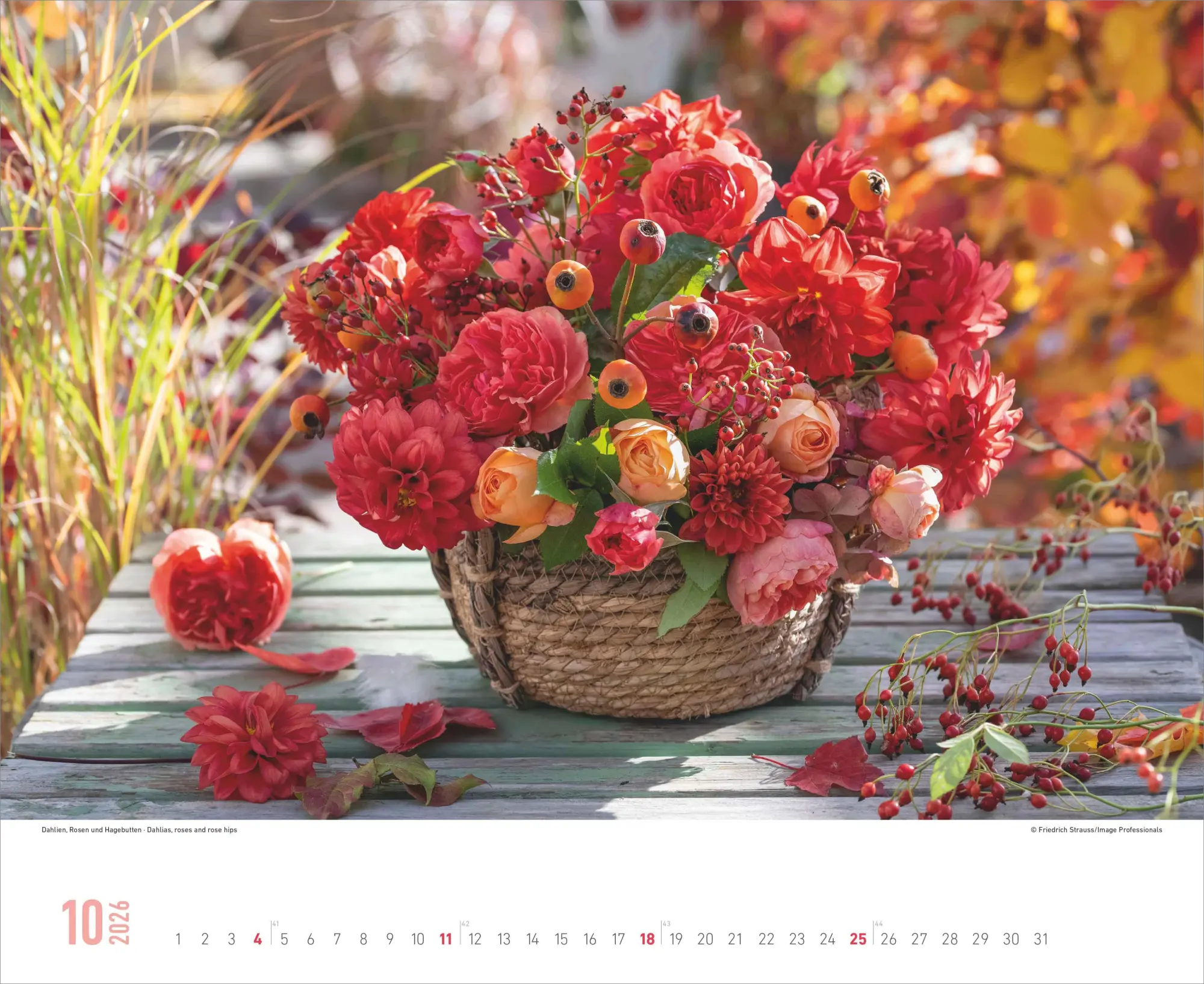 Bild: 4069095008403 | Blumenpracht - Wandkalender mit 12 bezaubernden Blumenmotiven | 13 S.