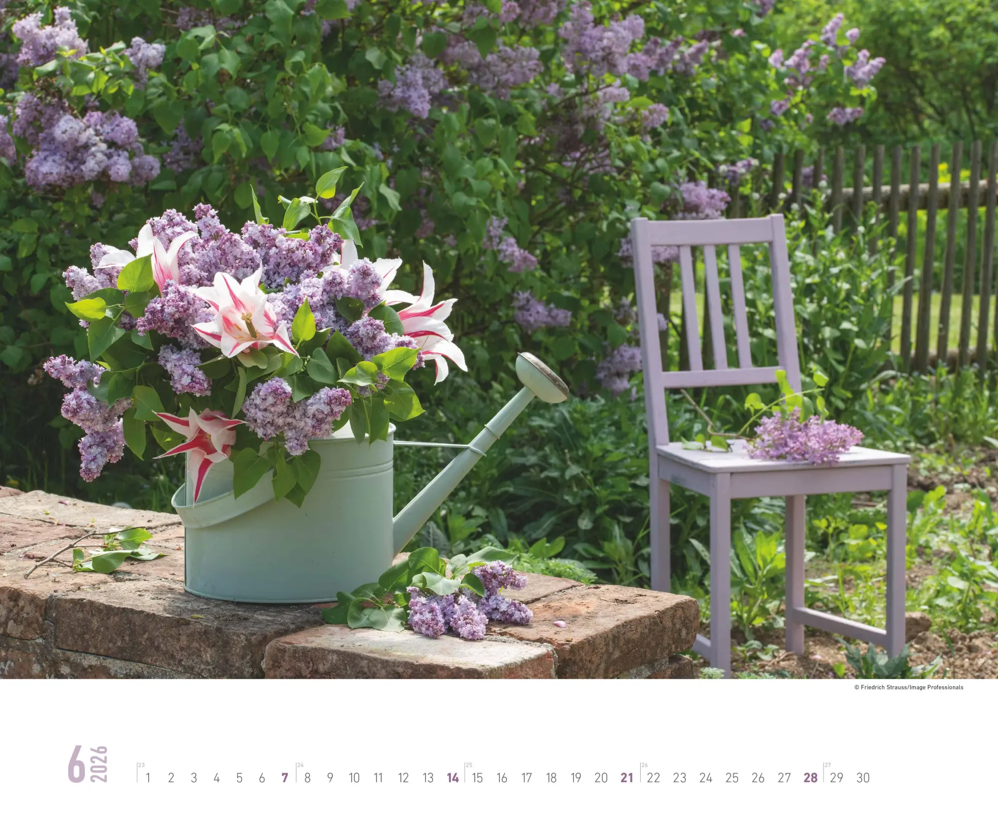 Bild: 4069095008403 | Blumenpracht - Wandkalender mit 12 bezaubernden Blumenmotiven | 13 S.
