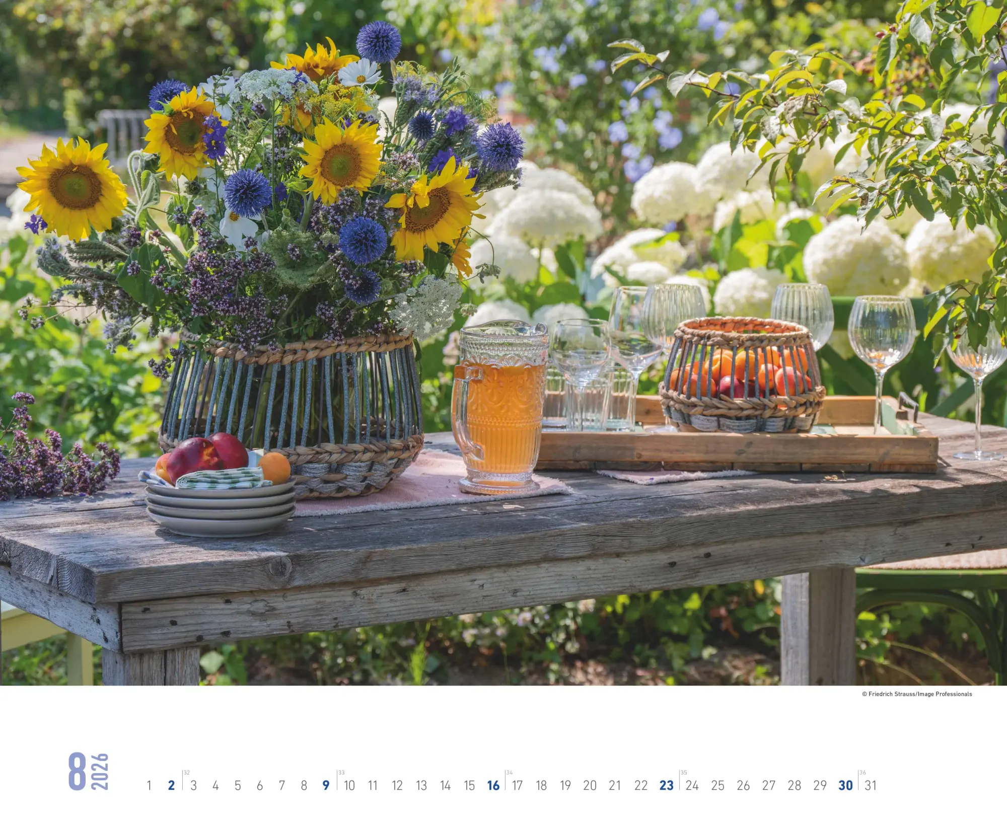 Bild: 4069095008403 | Blumenpracht - Wandkalender mit 12 bezaubernden Blumenmotiven | 13 S.