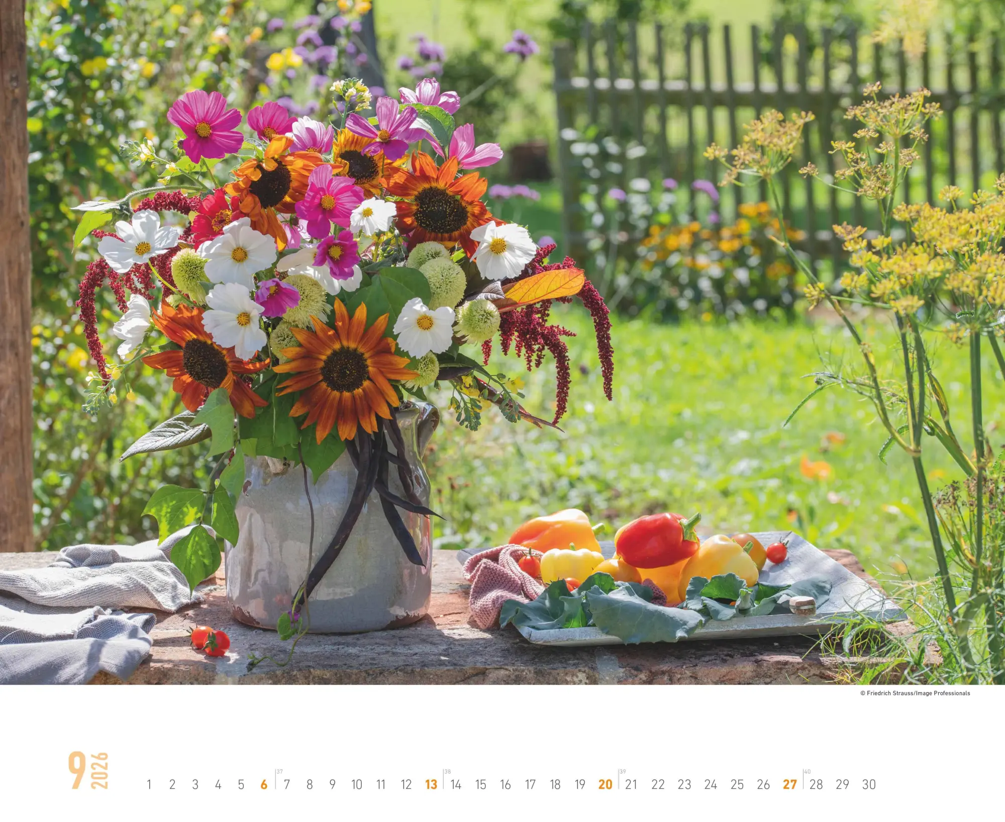 Bild: 4069095008403 | Blumenpracht - Wandkalender mit 12 bezaubernden Blumenmotiven | 13 S.