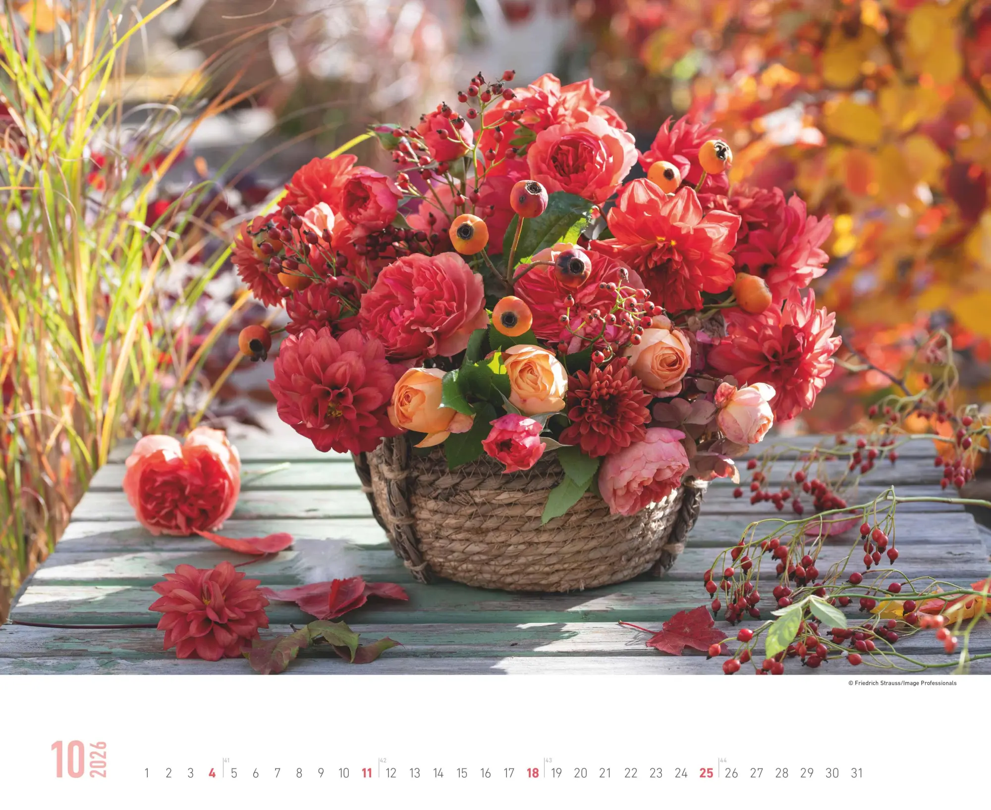 Bild: 4069095008403 | Blumenpracht - Wandkalender mit 12 bezaubernden Blumenmotiven | 13 S.