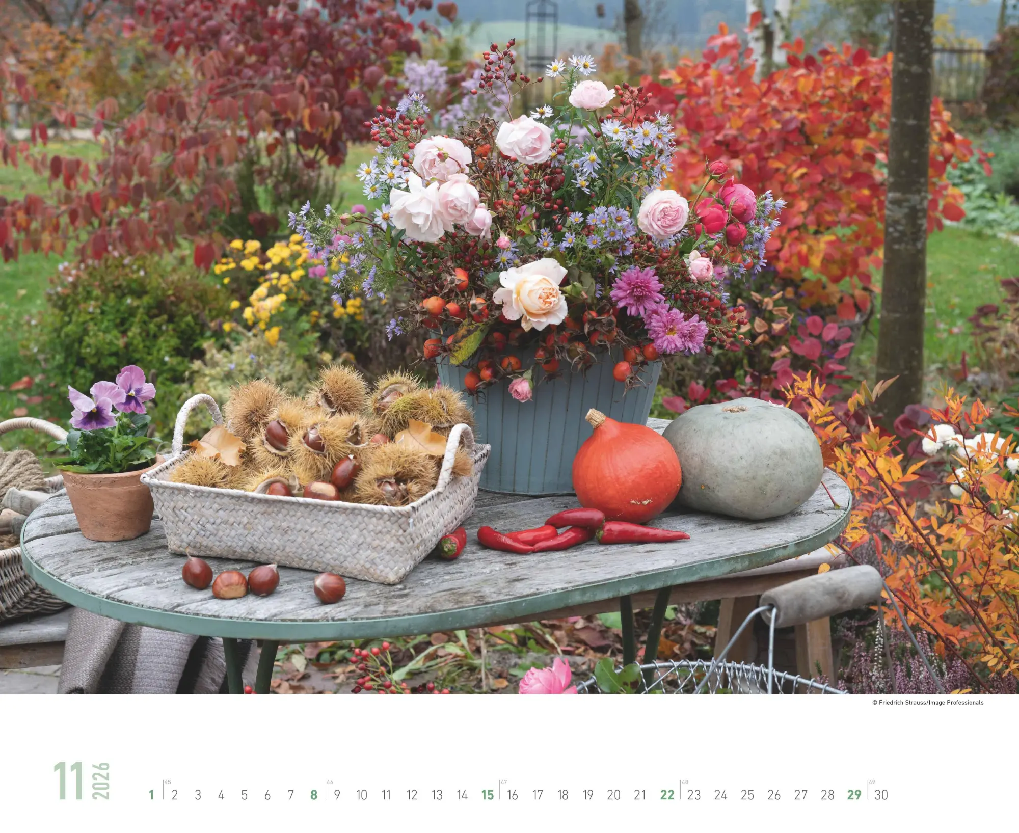 Bild: 4069095008403 | Blumenpracht - Wandkalender mit 12 bezaubernden Blumenmotiven | 13 S.