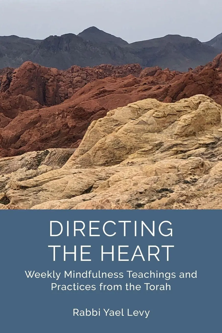 Cover: 9781733238403 | Directing the Heart | Rabbi Yael Levy | Taschenbuch | Englisch | 2019