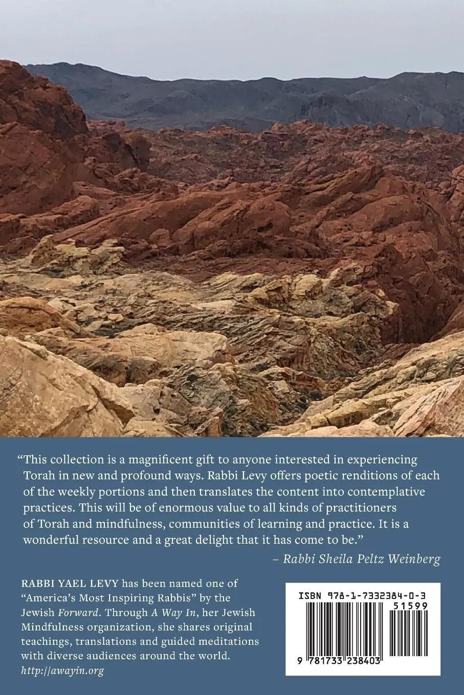 Rückseite: 9781733238403 | Directing the Heart | Rabbi Yael Levy | Taschenbuch | Englisch | 2019
