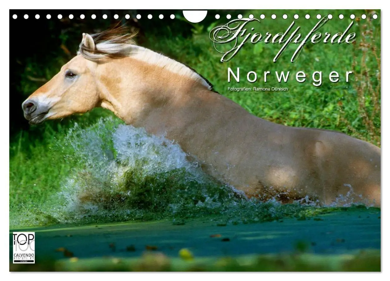 Cover: 9783516158403 | Fjordpferde - Norweger (Wandkalender 2026 DIN A4 quer), CALVENDO...